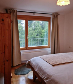 APARTMA JEREBIKA ŠT. 20